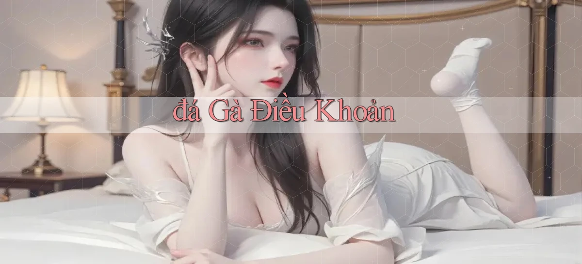 đá gà Điều khoản